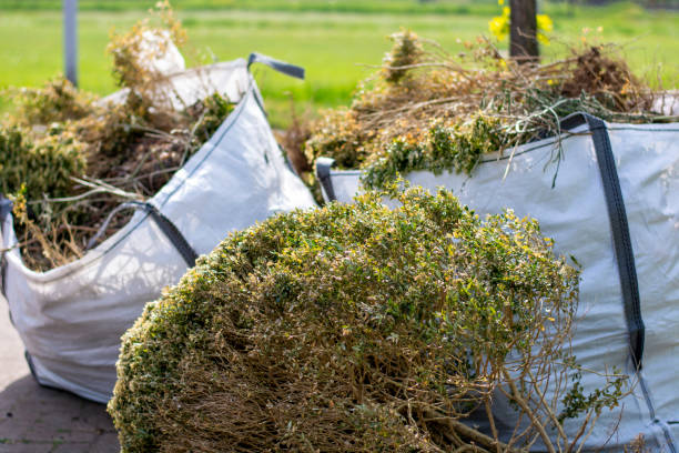 Best Electronics Removal Services  in Robertsde, AL